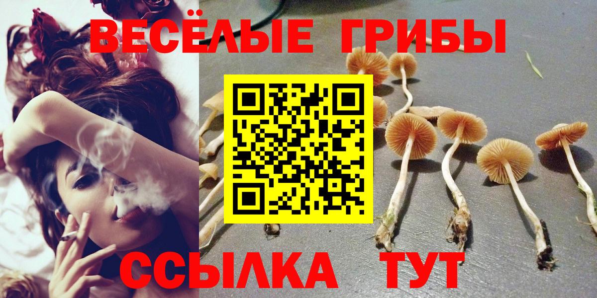 Псилоцибиновые грибы Magic Shrooms Минусинск