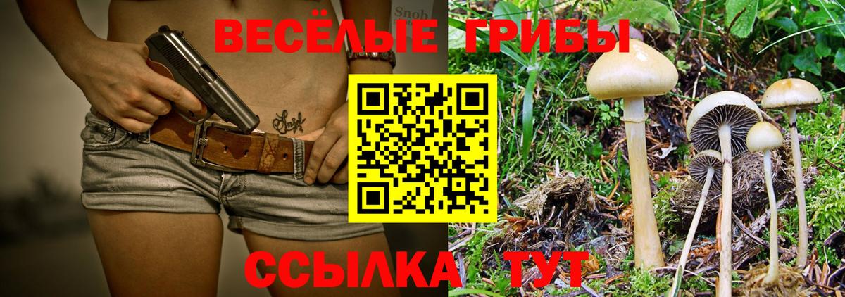 Галлюциногенные грибы ЛСД  Вход с VPN  как найти   Минусинск 